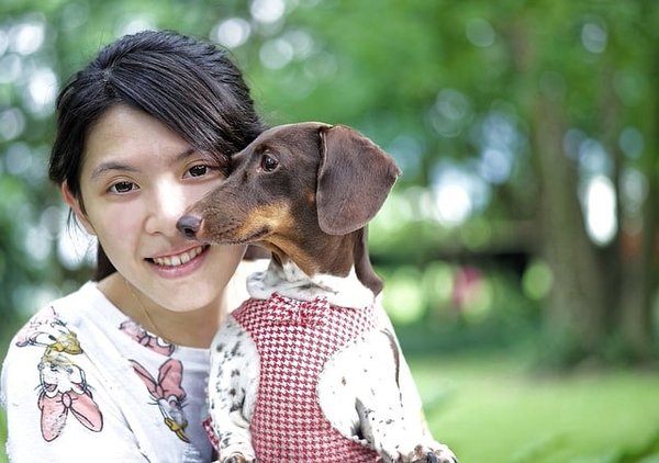 Comment choisir le textile adapté à son animal de compagnie ?